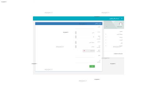 نرم افزار مالی راشوین
